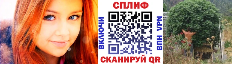 Купить закладку Кокаин  Меф мяу мяу  Alpha-PVP  Канабис  Гаврилов-Ям