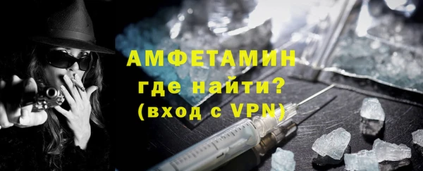 шишки Карпинск