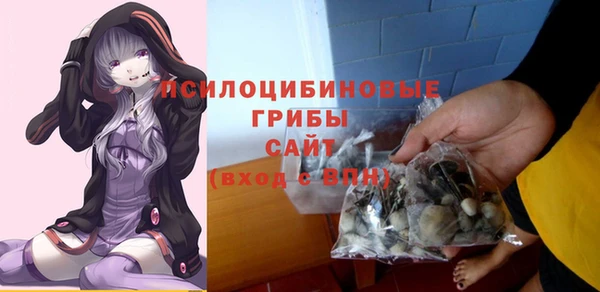 спиды Каменск-Шахтинский