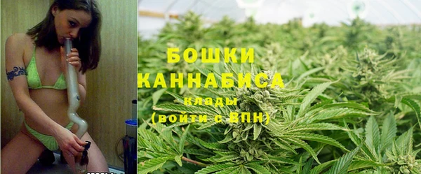 шишки Карпинск