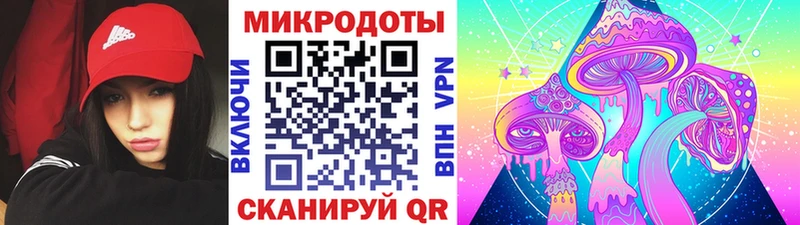 Псилоцибиновые грибы MAGIC MUSHROOMS Купить Гаврилов-Ям